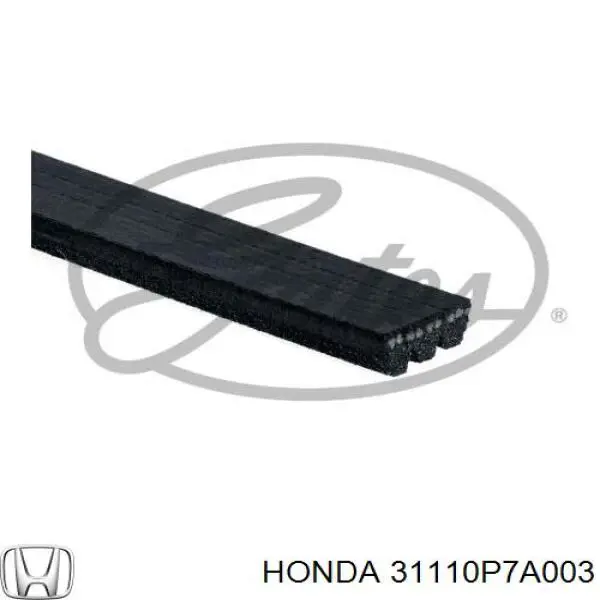 31110P7A003 Honda correa trapezoidal