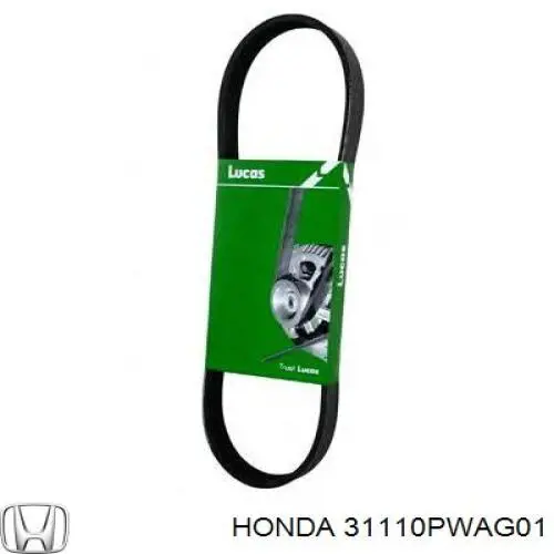 31110PWAG01 Honda correa trapezoidal