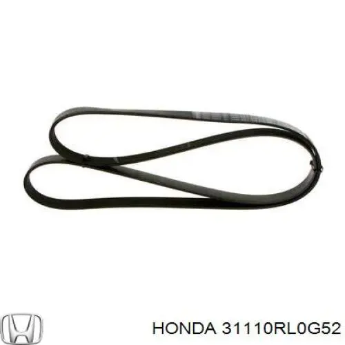 31110RL0G52 Honda correa trapezoidal