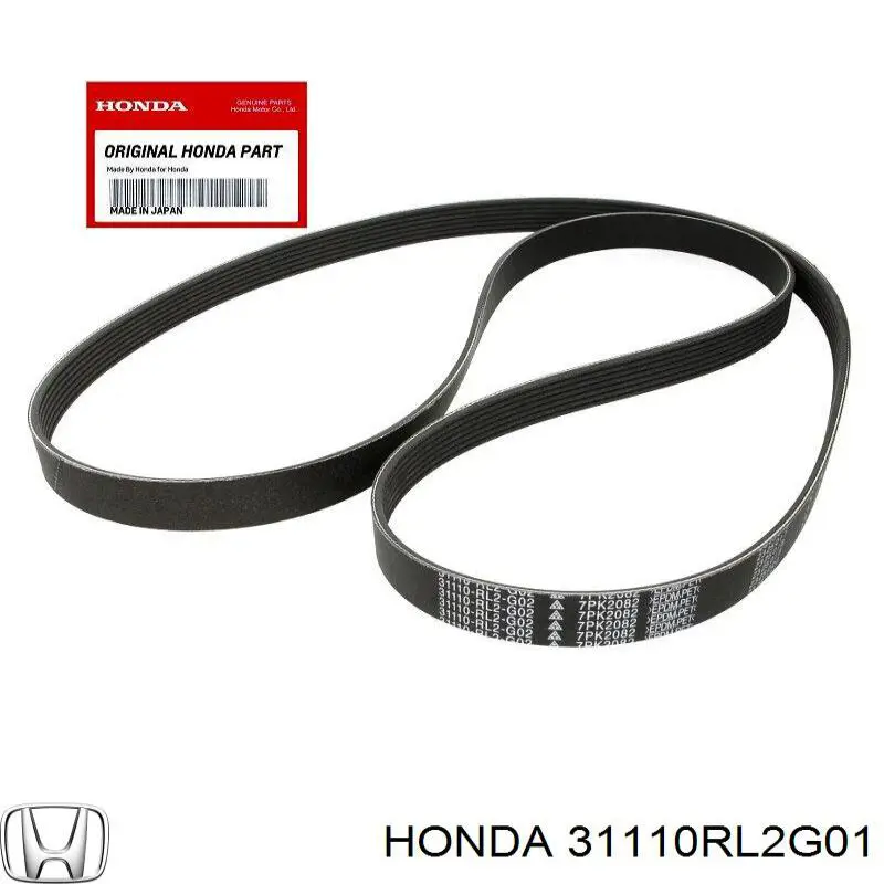 31110RL2G01 Honda correa trapezoidal