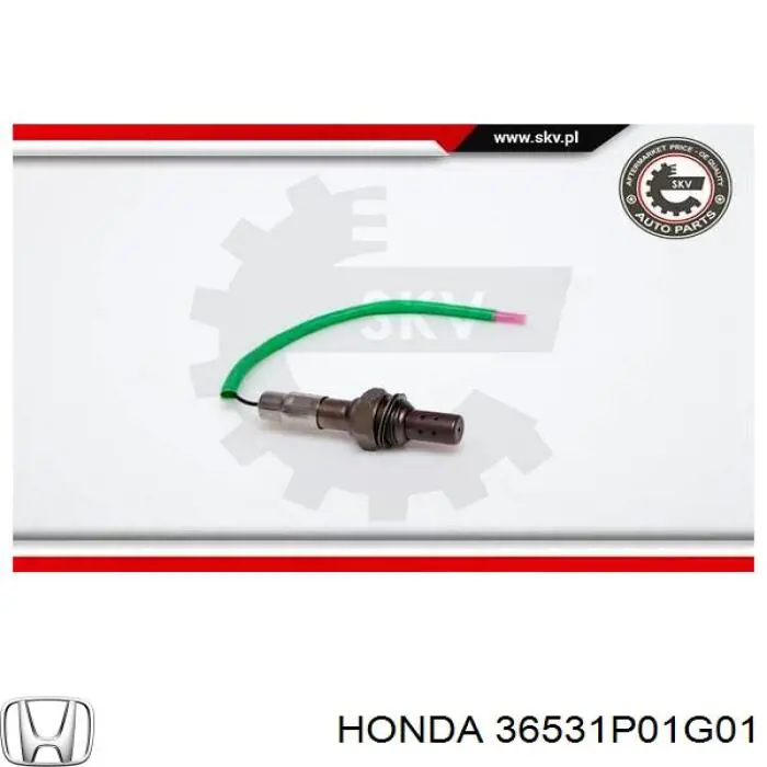 36531P01G01 Honda sonda lambda