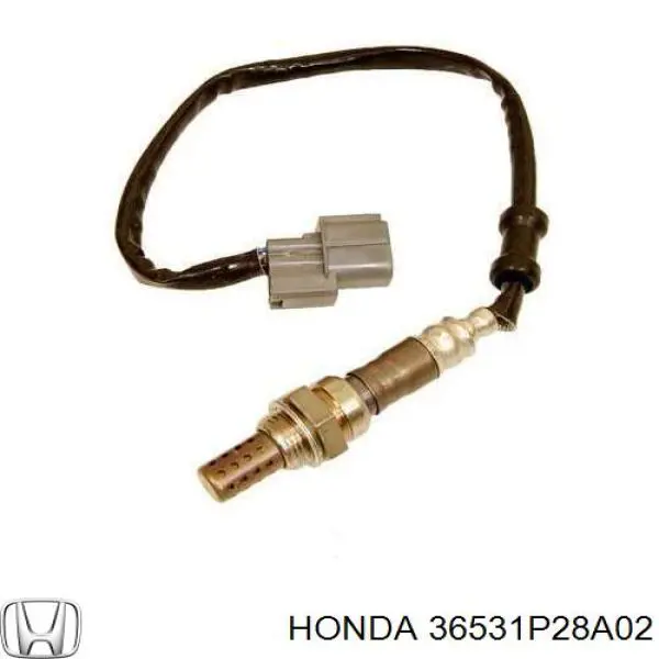 36531P28A02 Honda 