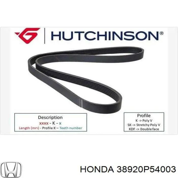 38920P54003 Honda correa trapezoidal