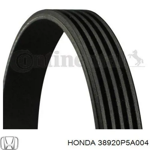 38920P5A004 Honda correa trapezoidal