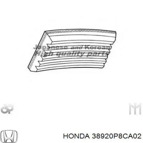 38920P8CA02 Honda 