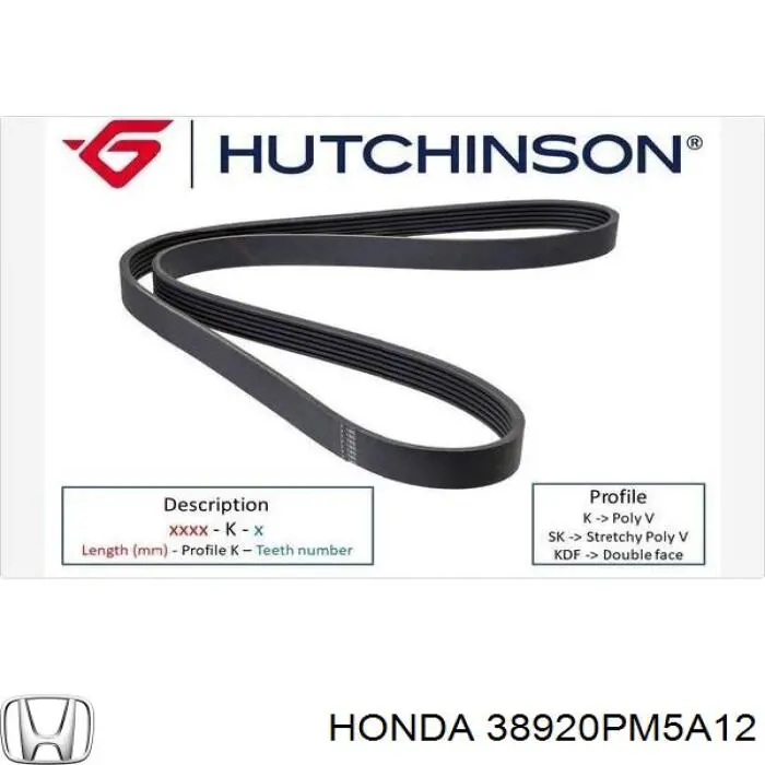 38920PM5A12 Honda correa trapezoidal