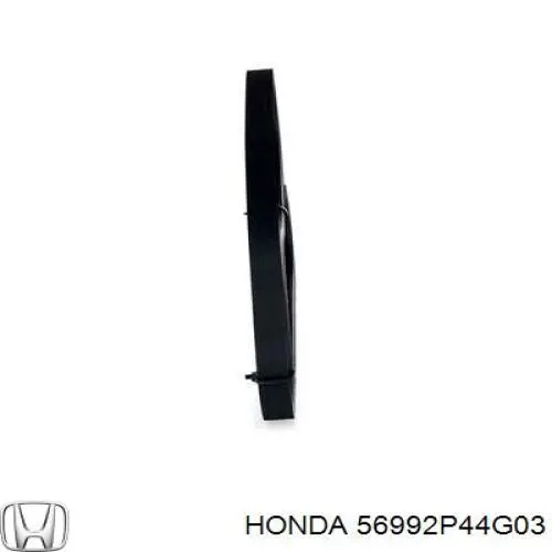 56992P44G03 Honda correa trapezoidal