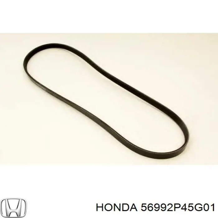 56992P45G01 Honda correa trapezoidal