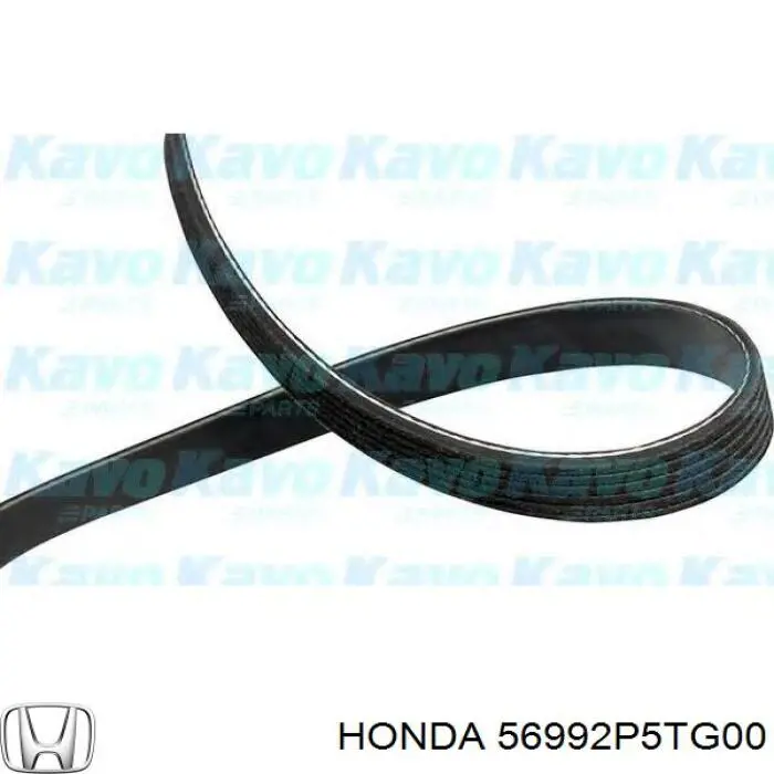 56992P5TG00 Honda correa trapezoidal