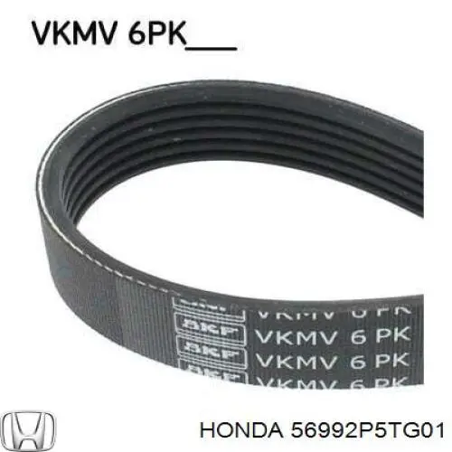 56992P5TG01 Honda correa trapezoidal