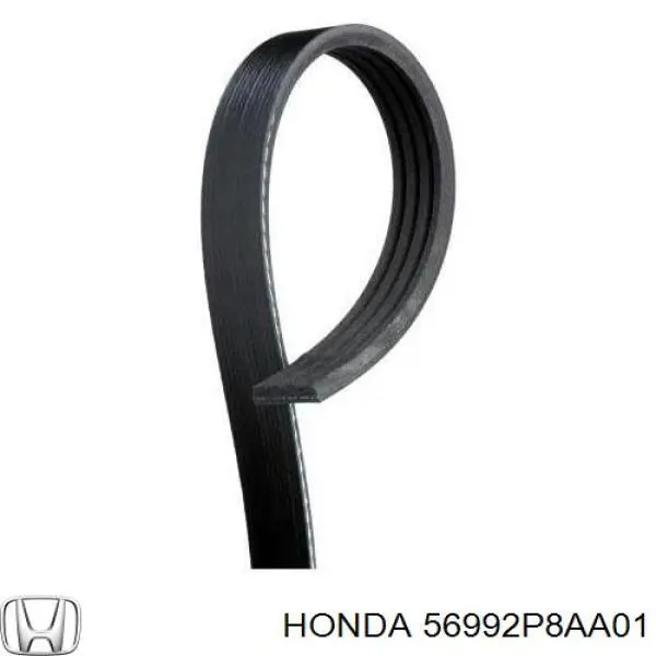 56992P8AA01 Honda correa trapezoidal