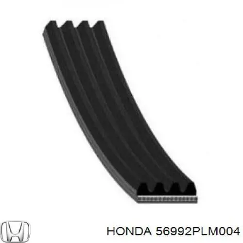 56992PLM004 Honda correa trapezoidal