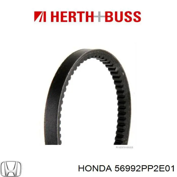 56992PP2E01 Honda correa trapezoidal