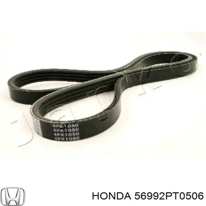 56992PT0506 Honda correa trapezoidal