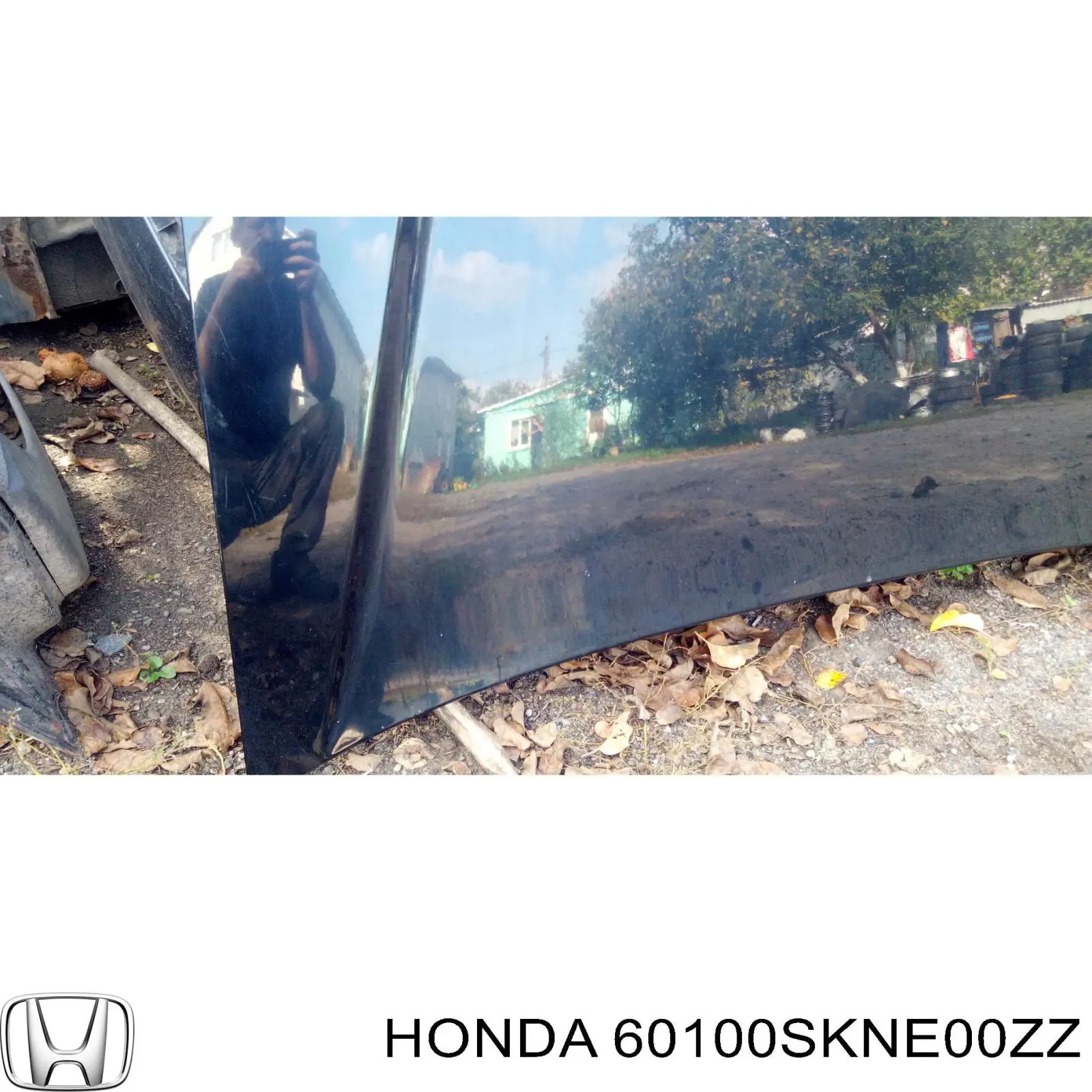 60100SKNE00ZZ Honda capó del motor