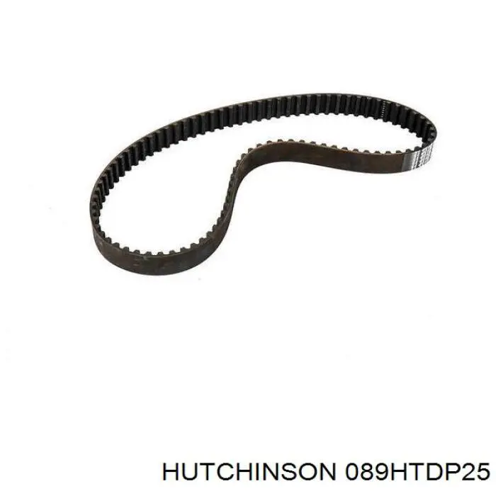 089HTDP25 Hutchinson correa distribucion