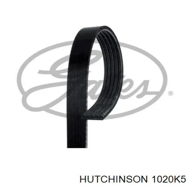 1020 K 5 Hutchinson correa trapezoidal