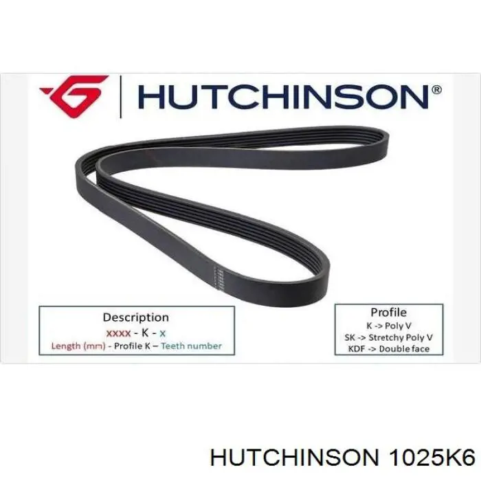 1025 K 6 Hutchinson correa trapezoidal