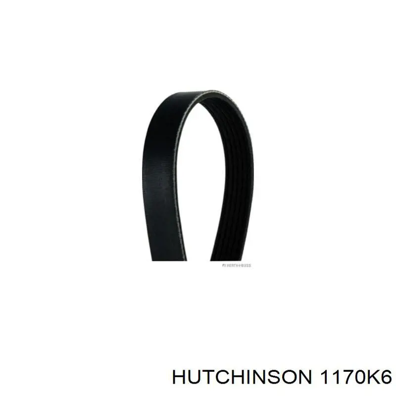 1170 K 6 Hutchinson correa trapezoidal