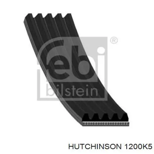 1200 K 5 Hutchinson correa trapezoidal