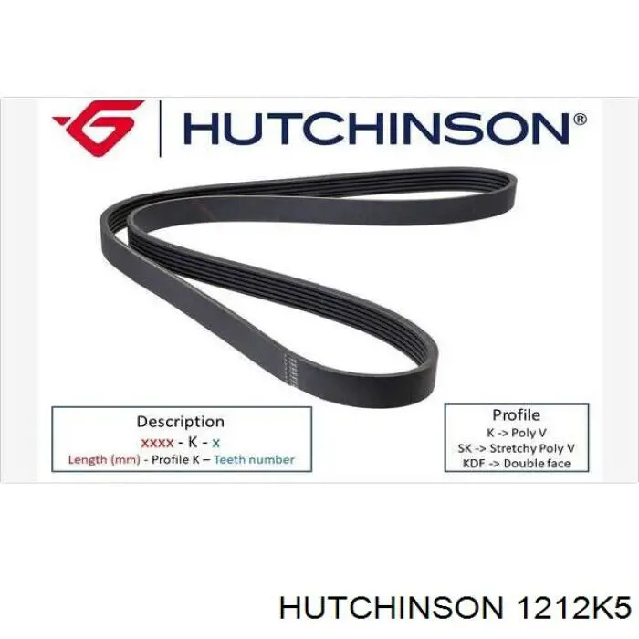 1212K5 Hutchinson correa trapezoidal