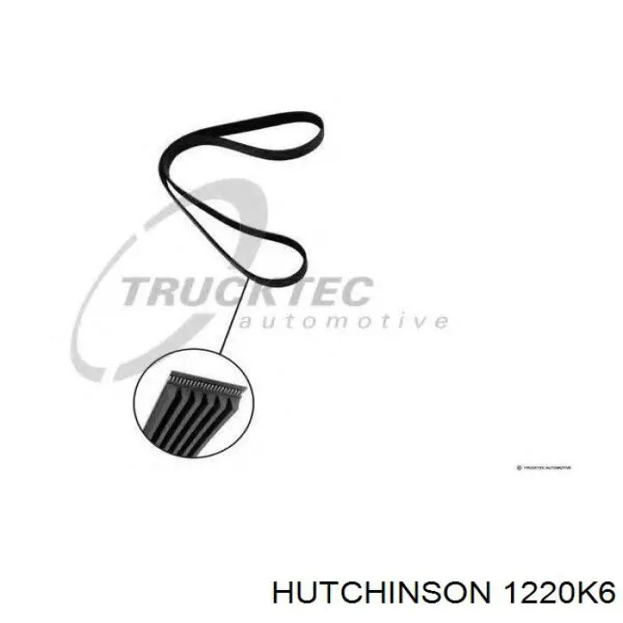 1220K6 Hutchinson correa trapezoidal