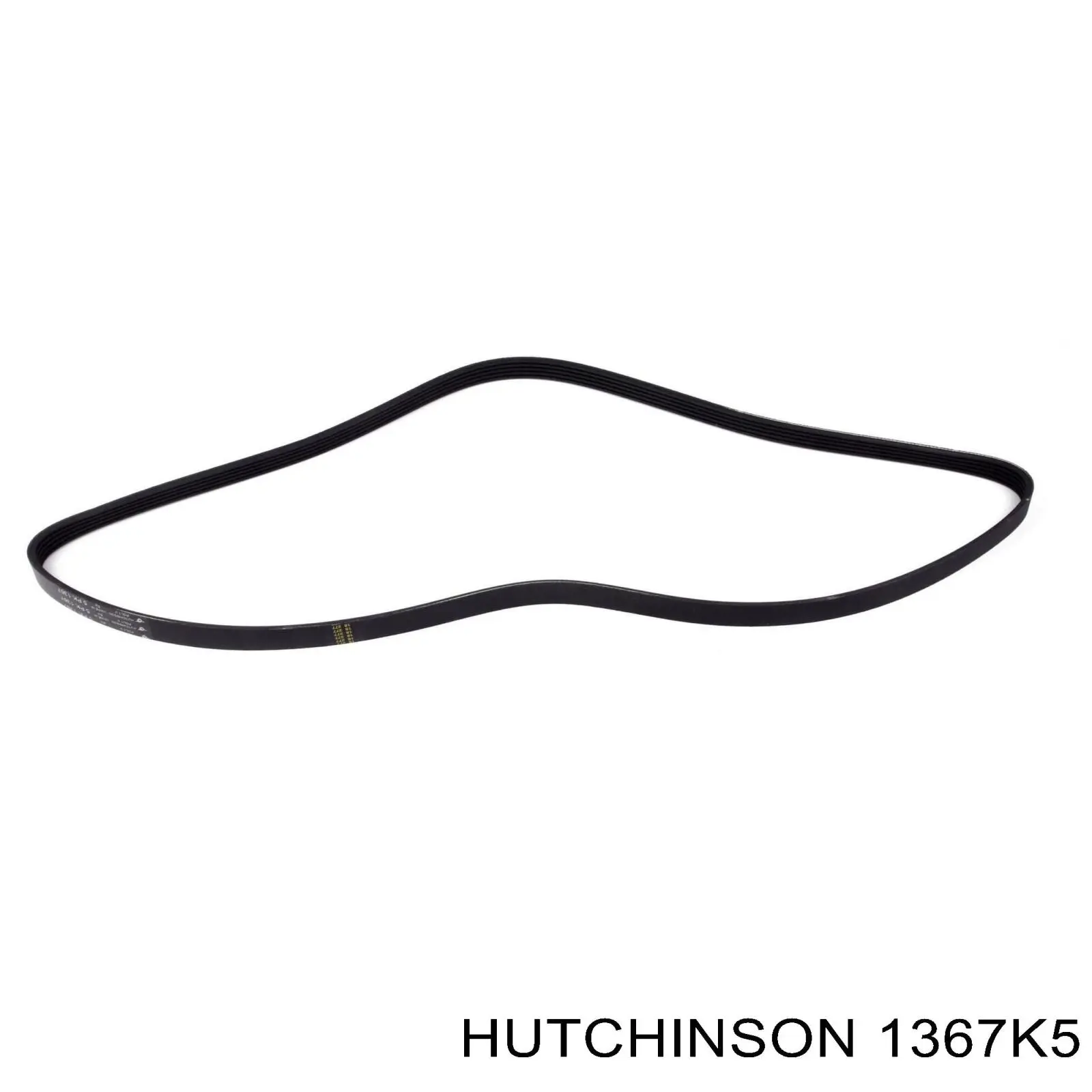 1367K5 Hutchinson correa trapezoidal