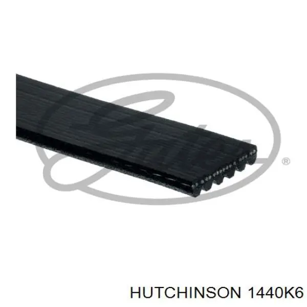 1440 K 6 Hutchinson correa trapezoidal