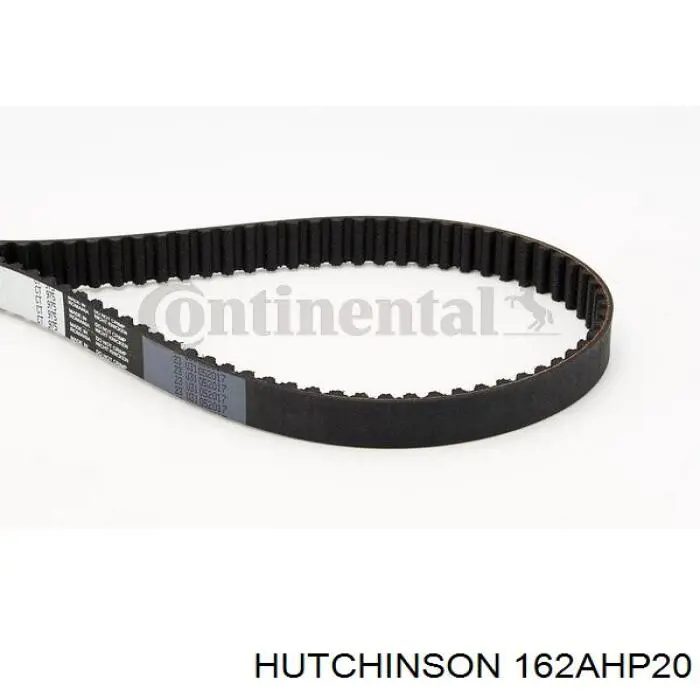 162AHP20 Hutchinson correa distribucion