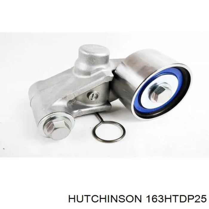 163HTDP25 Hutchinson correa distribucion