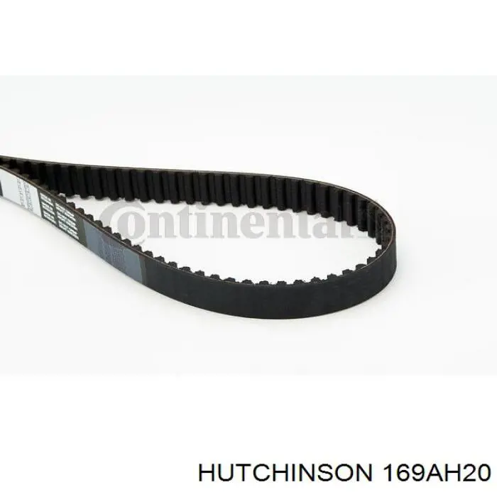 169AH20 Hutchinson correa distribucion