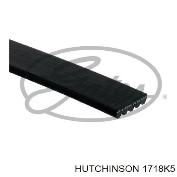 1718K5 Hutchinson correa trapezoidal