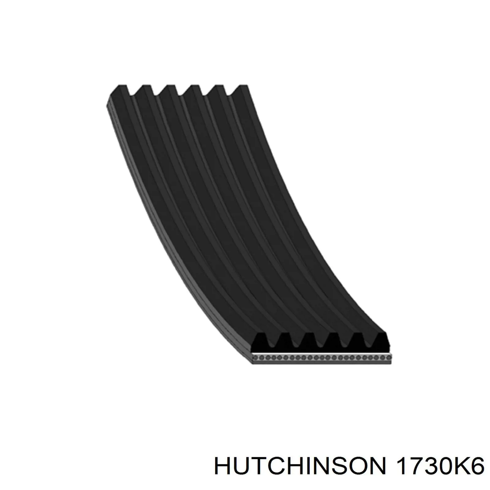 1730 K 6 Hutchinson correa trapezoidal