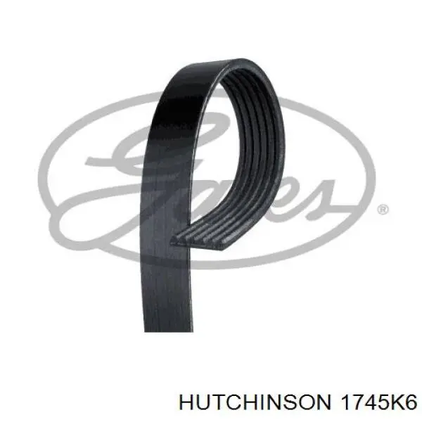 1745 K 6 Hutchinson correa trapezoidal