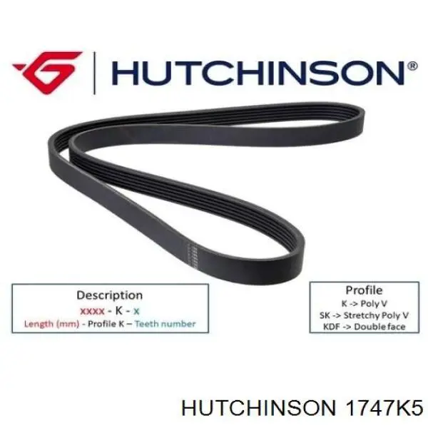 1747 K 5 Hutchinson correa trapezoidal