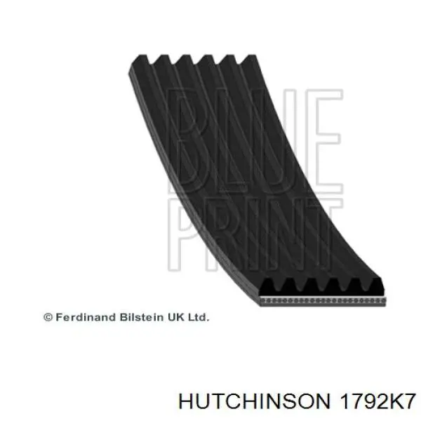 1792 K 7 Hutchinson correa trapezoidal