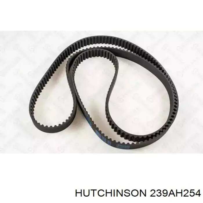 239AH254 Hutchinson correa distribucion