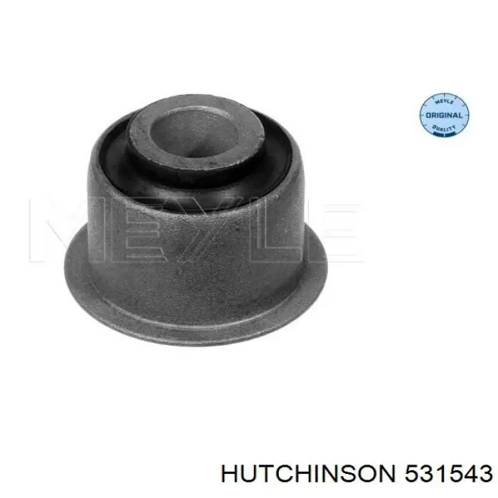 531543 Hutchinson silentblock de suspensión delantero inferior