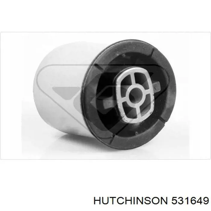 531649 Hutchinson suspensión, cuerpo del eje trasero