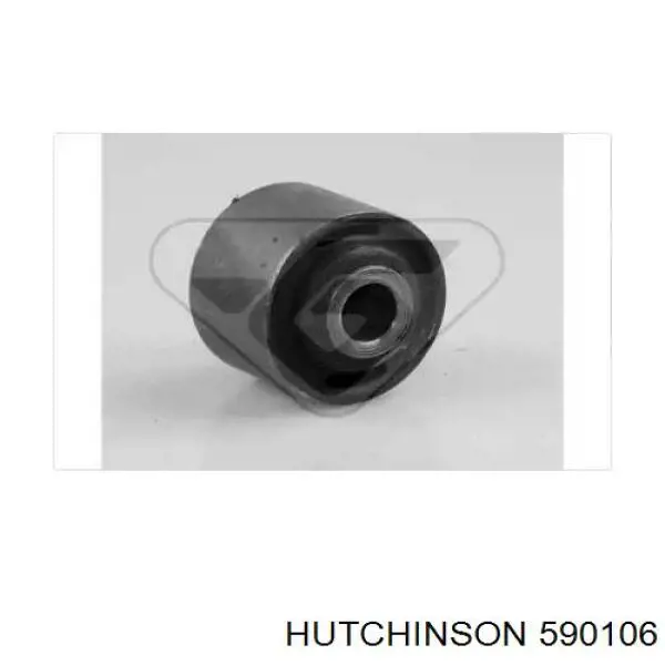 590106 Hutchinson suspensión, cuerpo del eje trasero