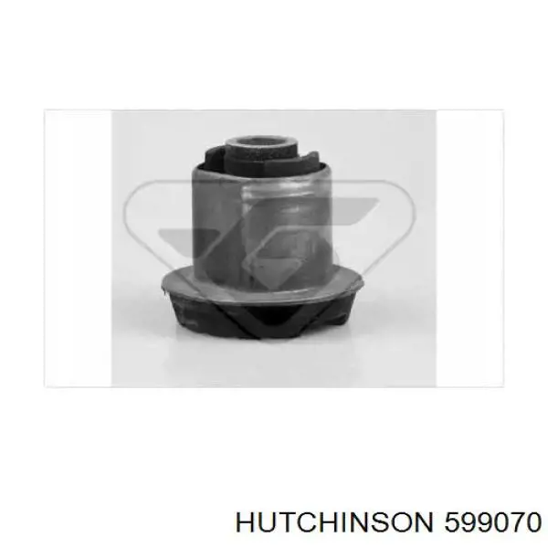 599070 Hutchinson suspensión, cuerpo del eje trasero