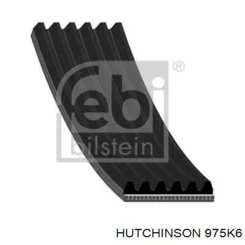 975K6 Hutchinson correa trapezoidal