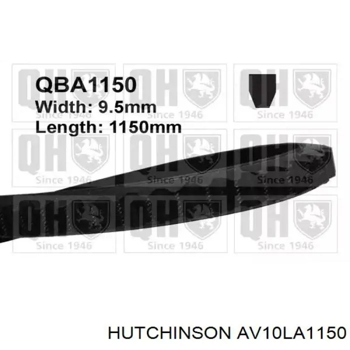 AV10LA1150 Hutchinson correa trapezoidal