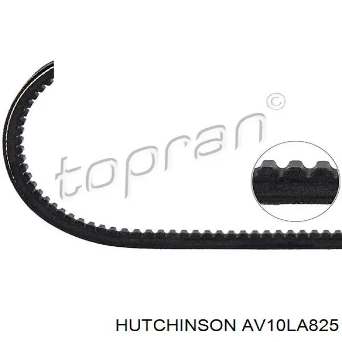 AV10LA825 Hutchinson correa trapezoidal