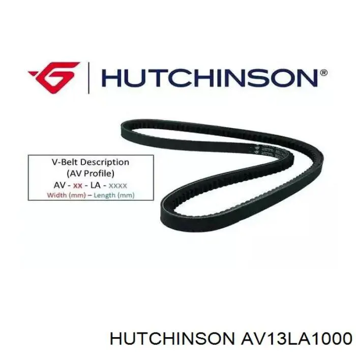 AV13La1000 Hutchinson correa trapezoidal