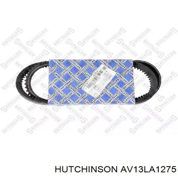 AV 13 La 1275 Hutchinson correa trapezoidal