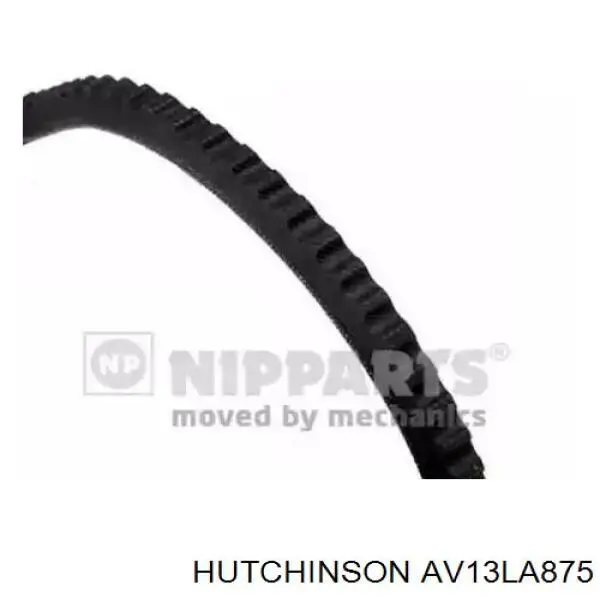 AV 13 La 875 Hutchinson correa trapezoidal