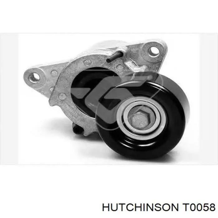 T0058 Hutchinson tensor, correa dentada