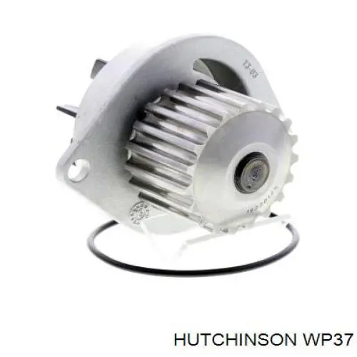 WP37 Hutchinson bomba de agua