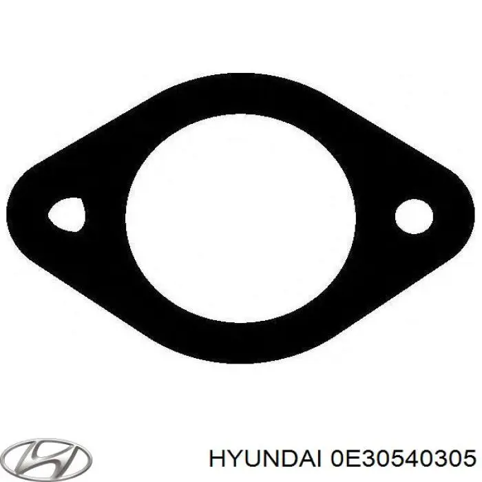 0E30540305 Hyundai/Kia junta de tubo de escape silenciador